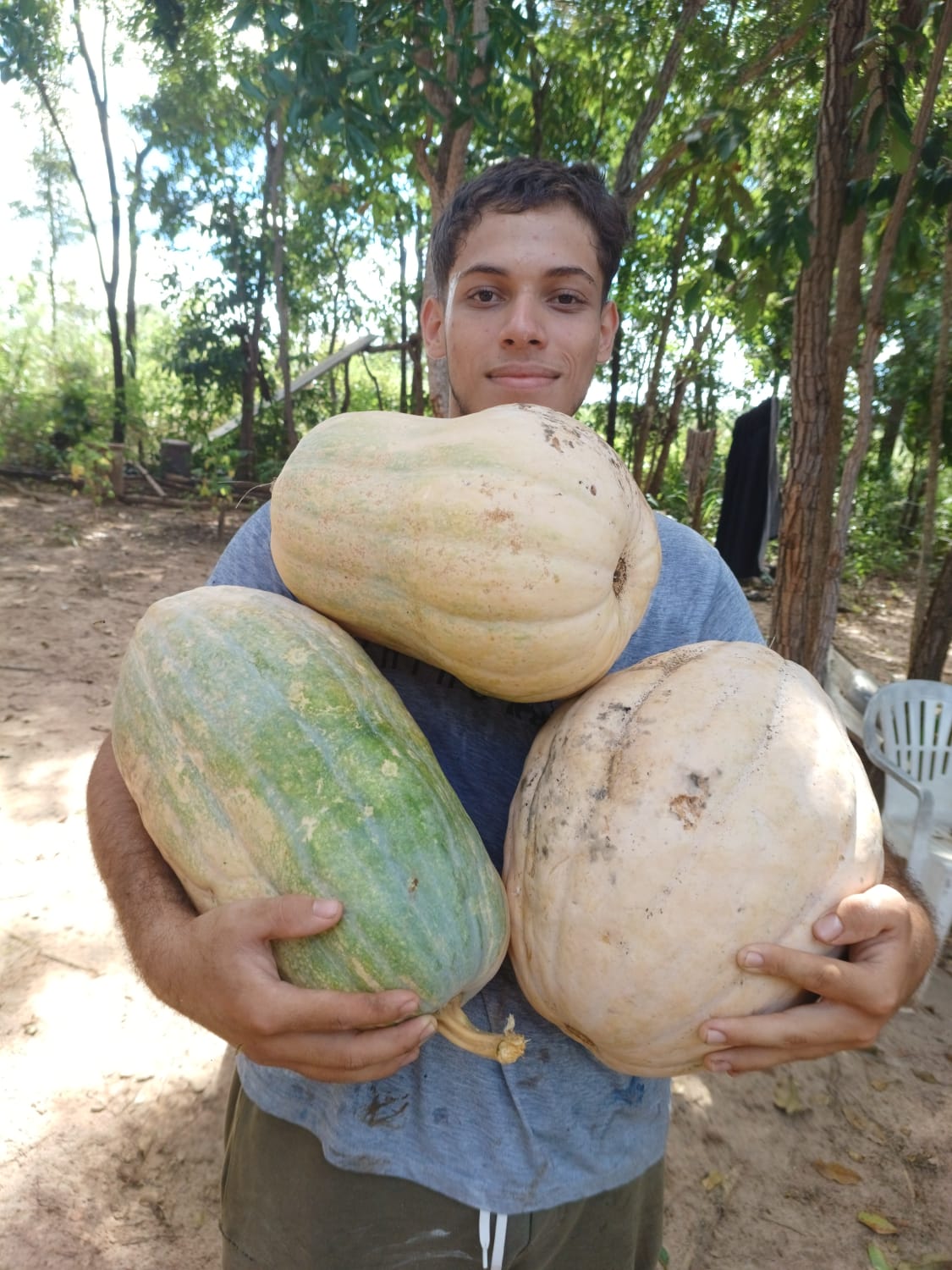 Esterco Turbinado Frutífera — solo rico e escuro, pronto para uso